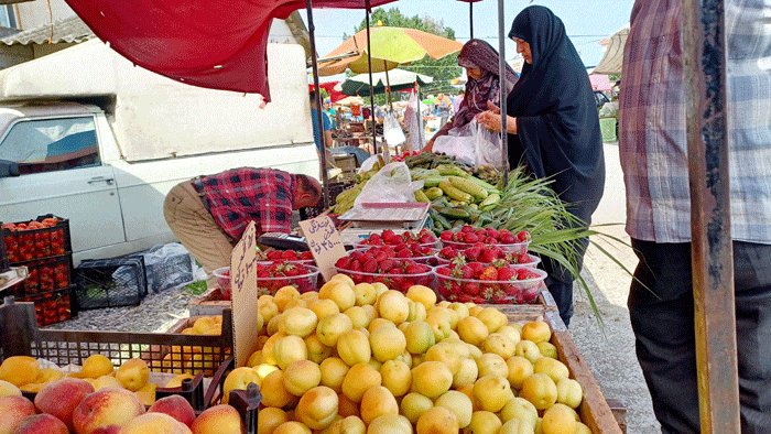 چهارشنبه بازار بابلسر